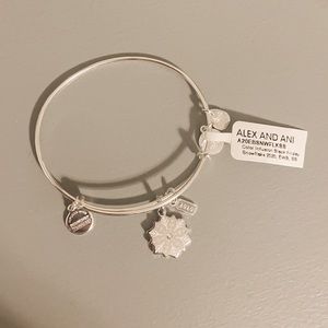 Alex & Ani Christmas charm bracelet
